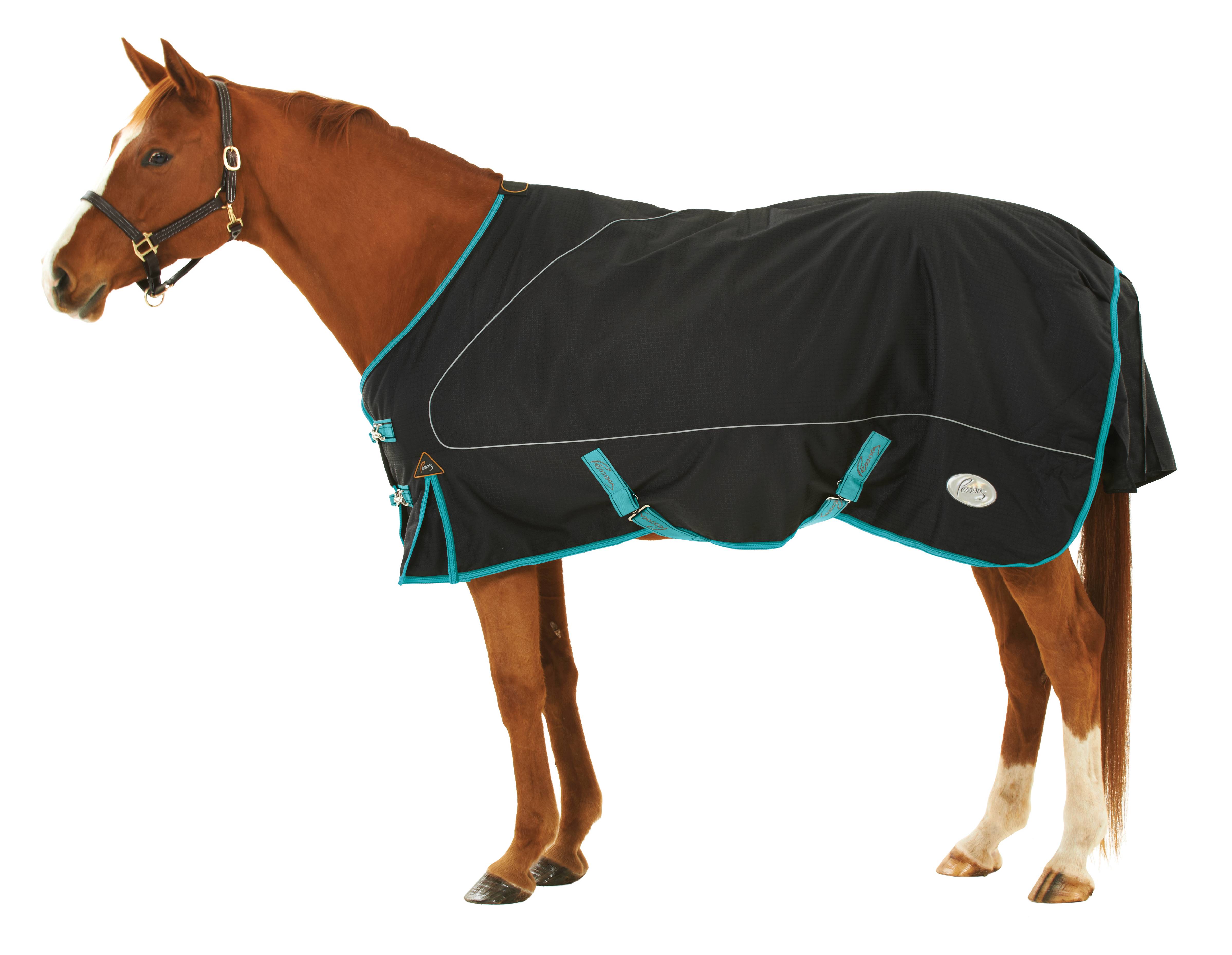 Pessoa 1680D Turnout Blanket with 180G Fill eBay