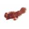 Kong Dr Noys Beaver Toy For Dogs