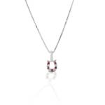 Kelly Herd Red & Clear Horseshoe Necklace