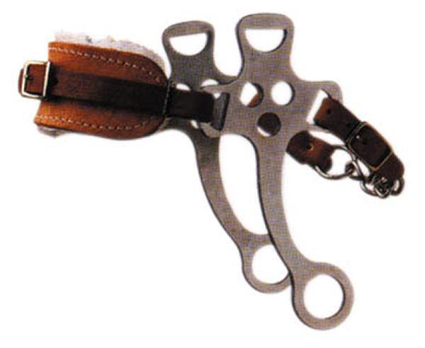 Korsteel Hackamore