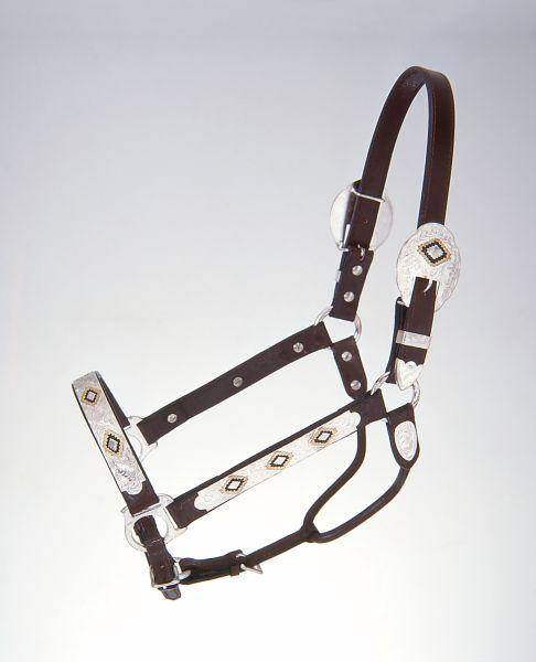 Royal King Gold & Black Silver Show Halter