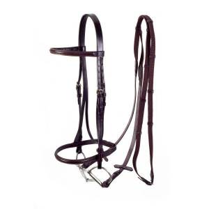 Silver Fox Raised Snaffle Bridle with  Web Reins