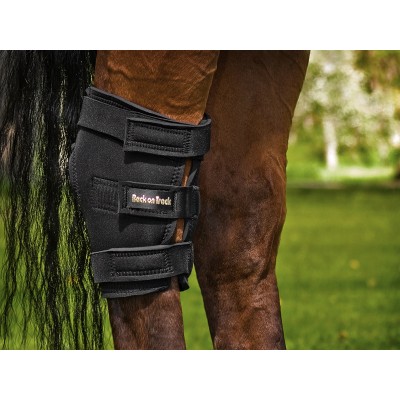 hock horseloverz ausschnitt ausfhrungen
