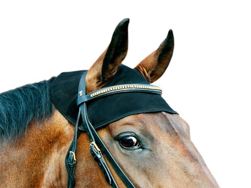 Back On Track Equine Head Cap