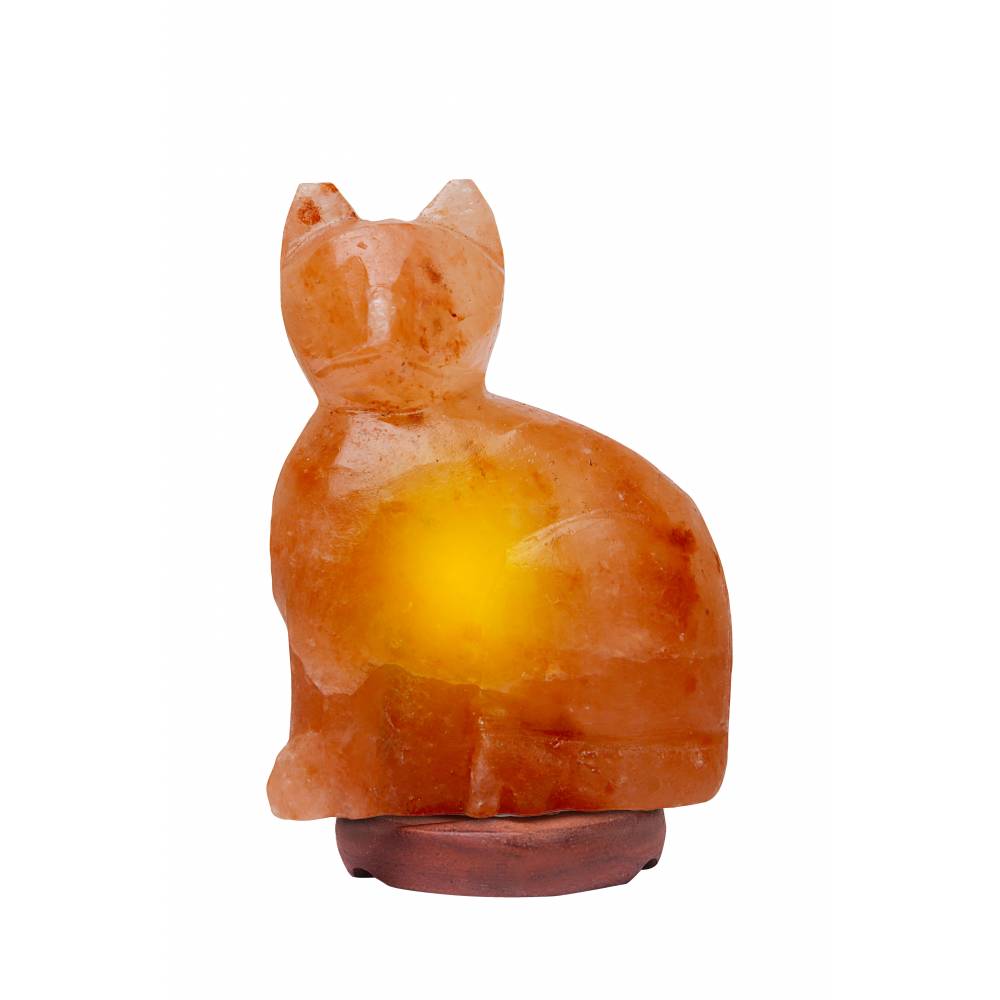 himalayan-rock-salt-cat-lamp-horseloverz