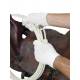 Lami-Cell Roping Gloves