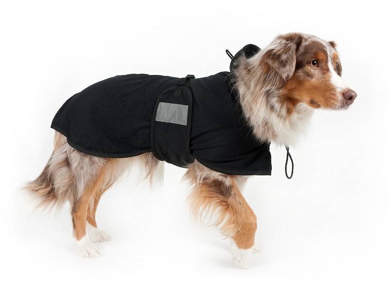 back on track therapeutic regular dog coat