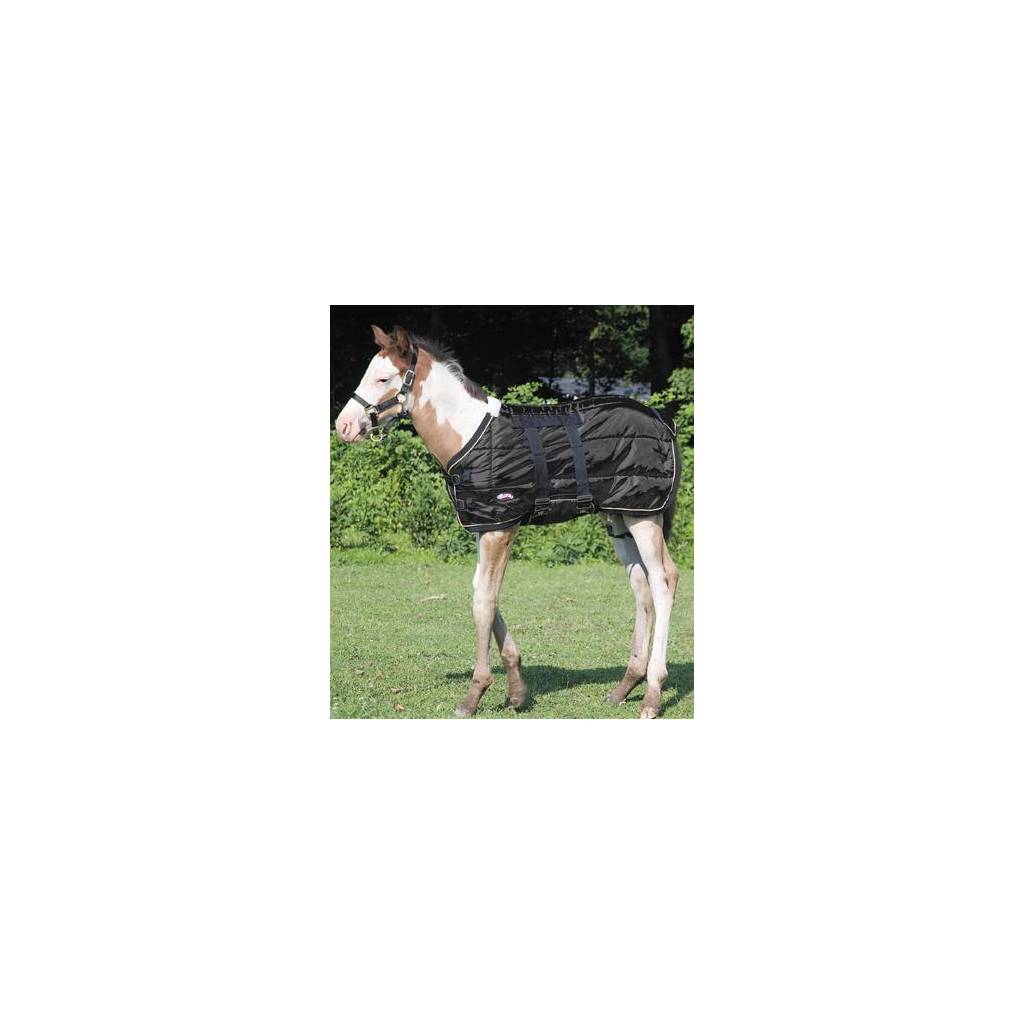 Weaver 420D Foal Stable Blanket