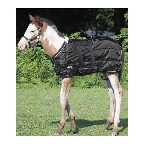 Weaver 420D Foal Stable Blanket