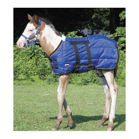 Weaver 420D Foal Stable Blanket