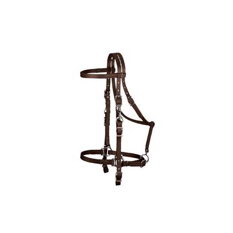 Weaver Synthetic Halter Bridle