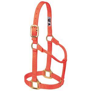 Weaver Leather Original Non-Adjustable 1 Nylon Halter