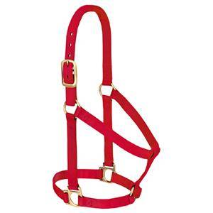 Weaver Basic Nylon Halter