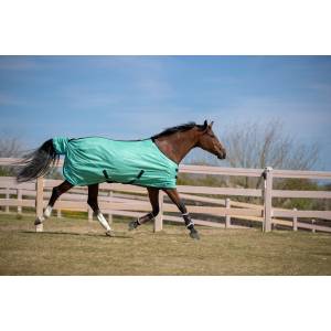 MEMORIAL DAY BOGO: Kensington All Around PolyMax SureFit Fly Sheet - YOUR PRICE FOR 2