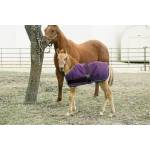 Kensington All Around Adjustable Foal Medium Weight Blanket - Purple - Foal 40 - 48