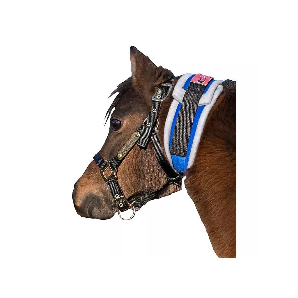 Ozark Premium Mini/Pony Throatlatch Sweat