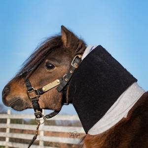 Ozark Premium Mini/Pony Neck Wrap