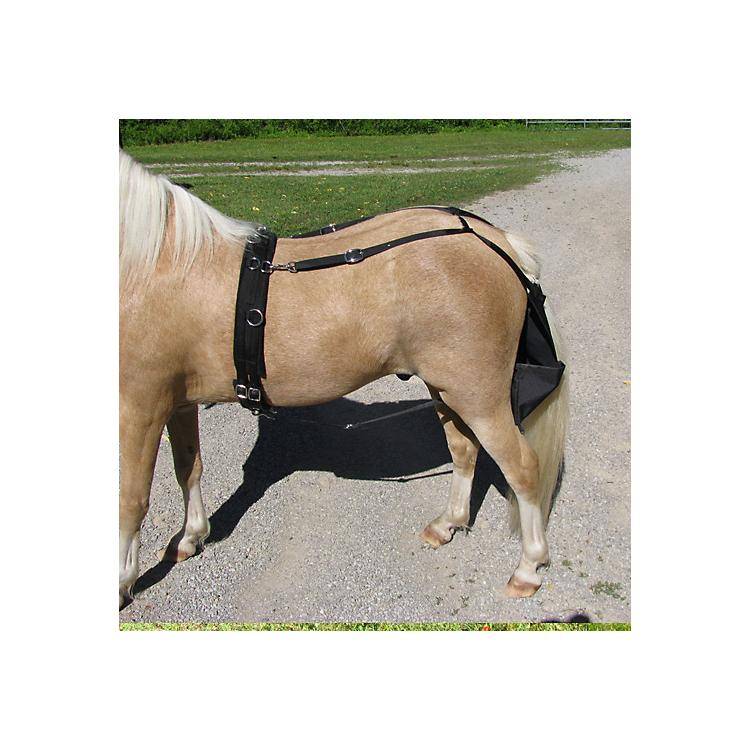 Ozark Mini/Pony Driving or Companion Diaper