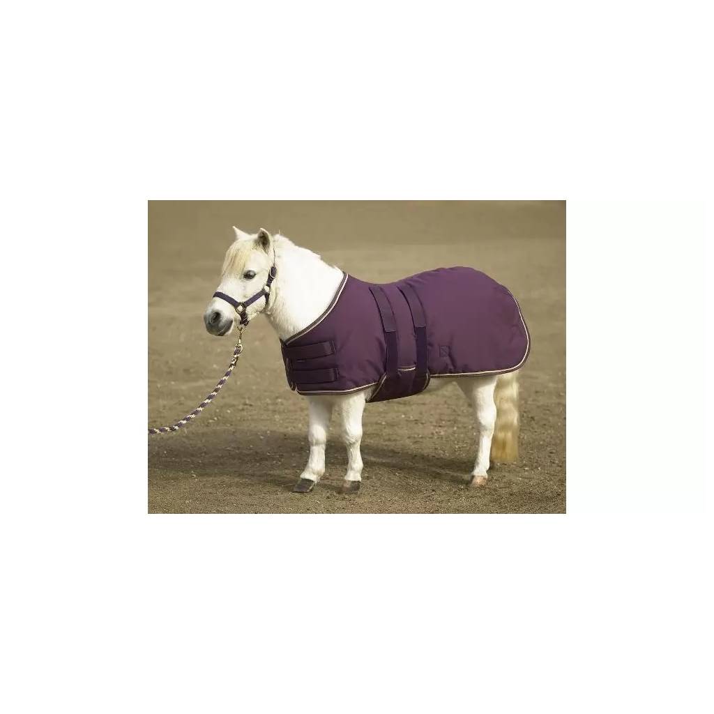 Ozark by Kensington Lightweight Waterproof Mini/Pony Blanket