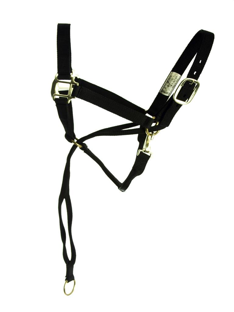 Basic Pull Back Training Halter