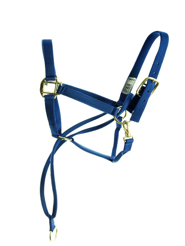 Basic Pull Back Training Halter