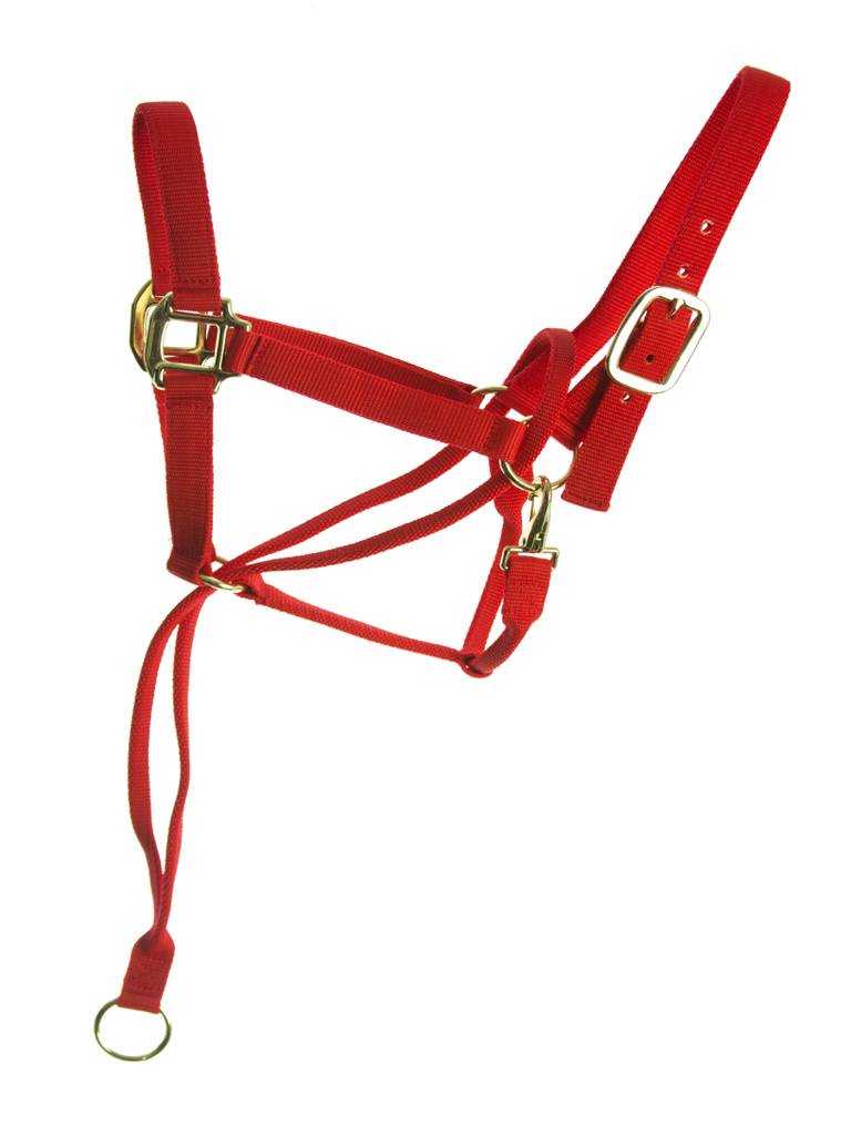 Basic Pull Back Training Halter