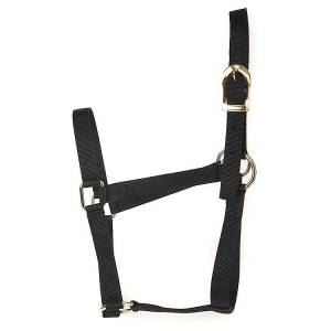 Basic 2-Ply Halter