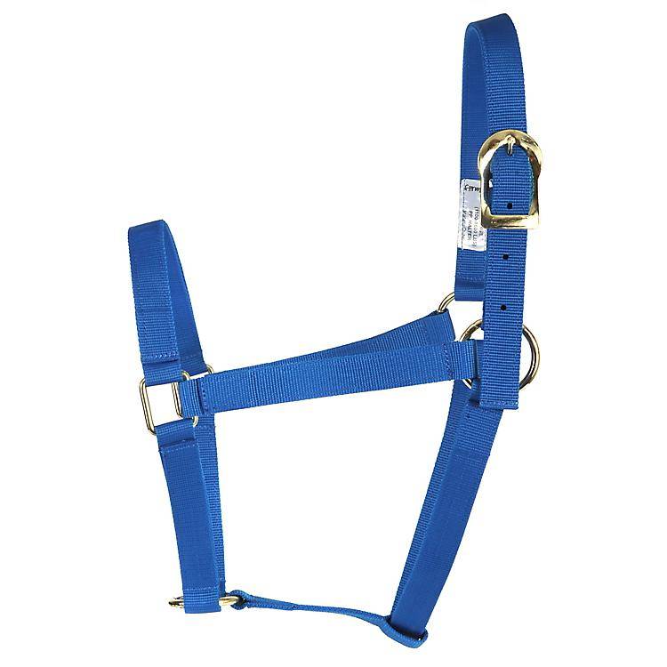 Basic 2-Ply Halter Large Blue