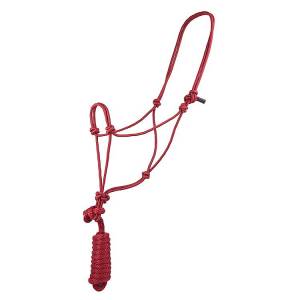 Basic Poly Braided Rope Halter with Lead