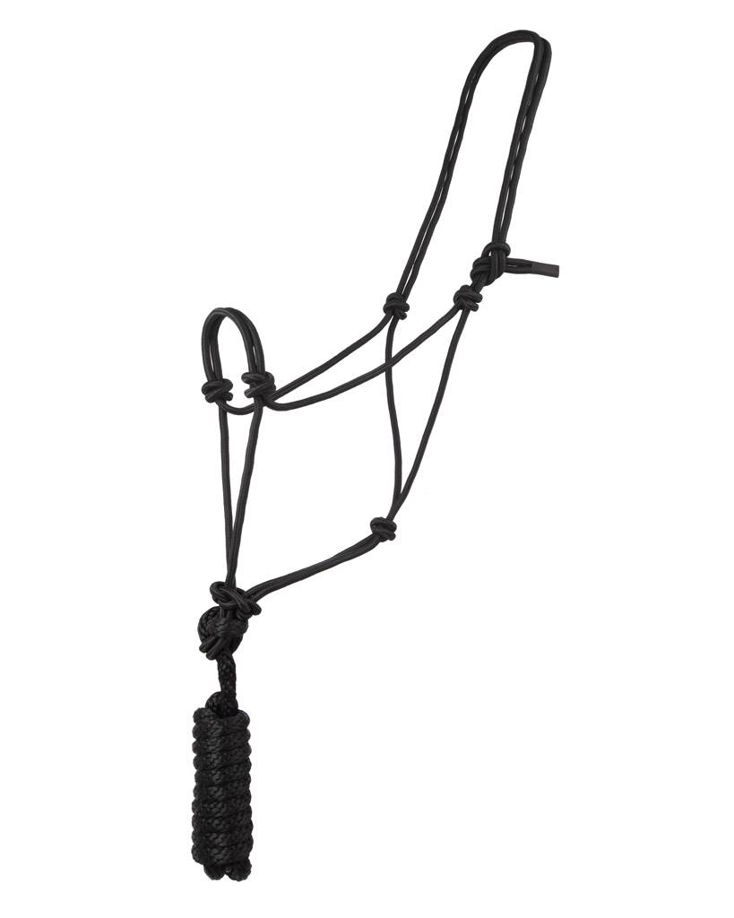 Basic Poly Braided Rope Halter with Lead