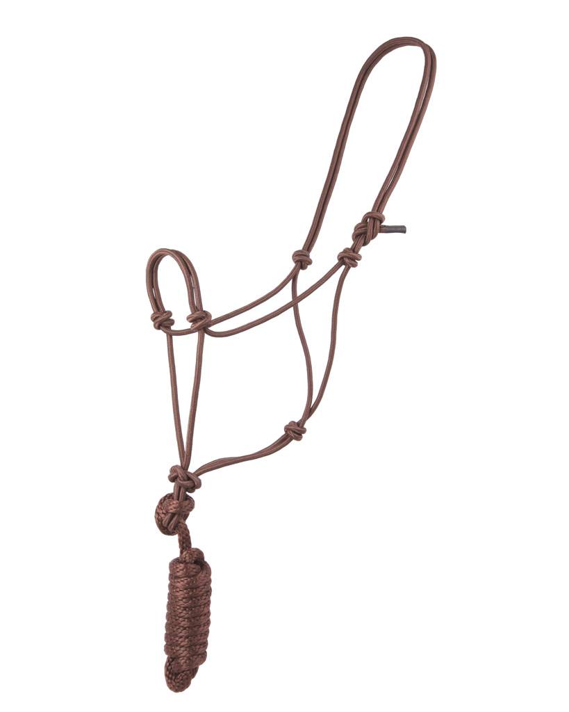 Basic Poly Braided Rope Halter with Lead