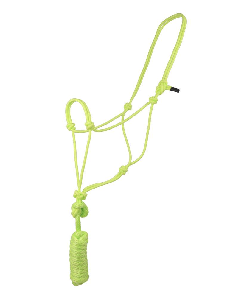 Basic Poly Braided Rope Halter with Lead