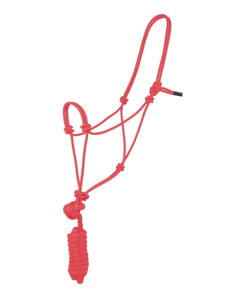 Basic Poly Braided Rope Halter with Lead