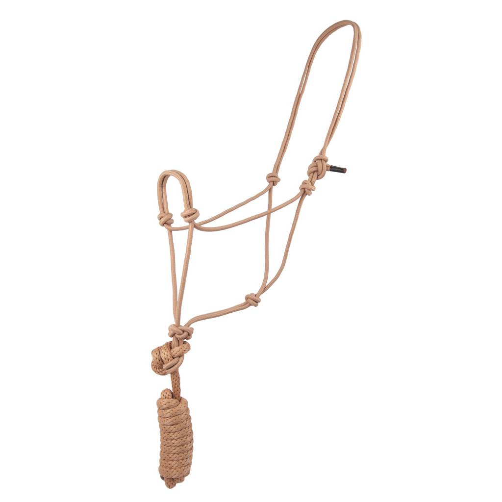 Basic Poly Braided Rope Halter with Lead
