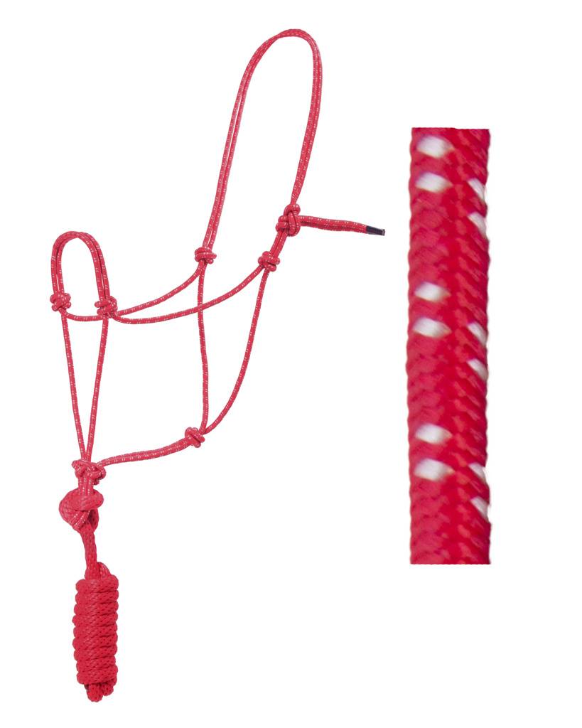 Basic Poly Two-Toned Rope Halter with Lead