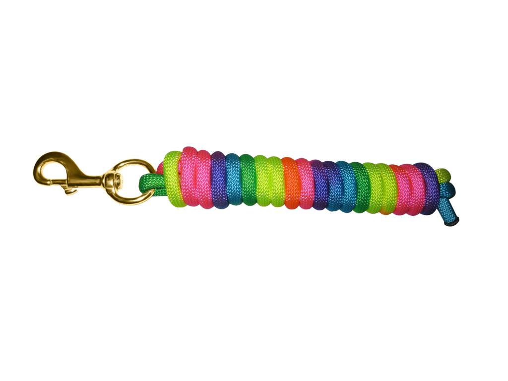 Basic Rainbow Poly Lead Rope with Bolt Snap