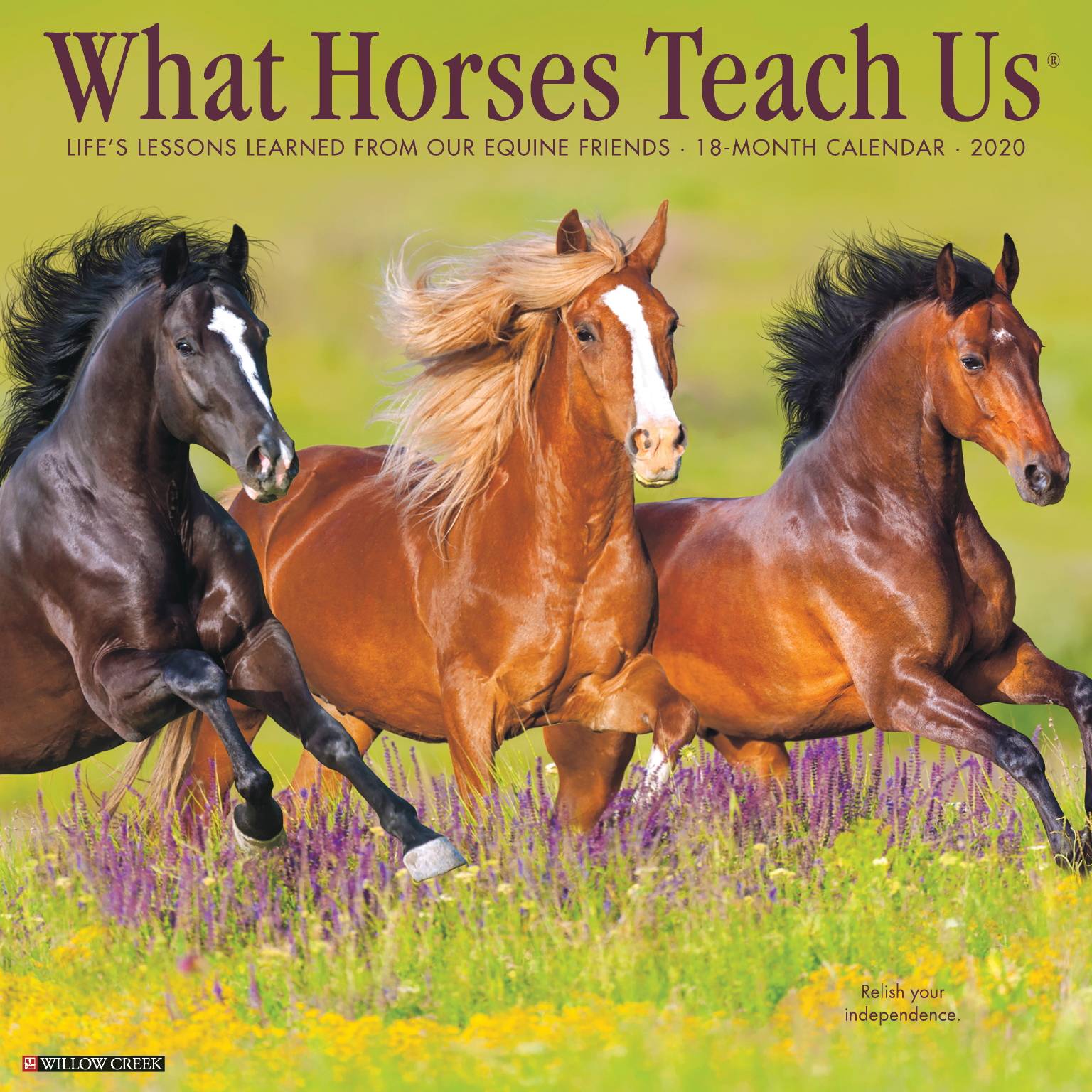 Kelley What Horses Teach Us 2020 Calendar