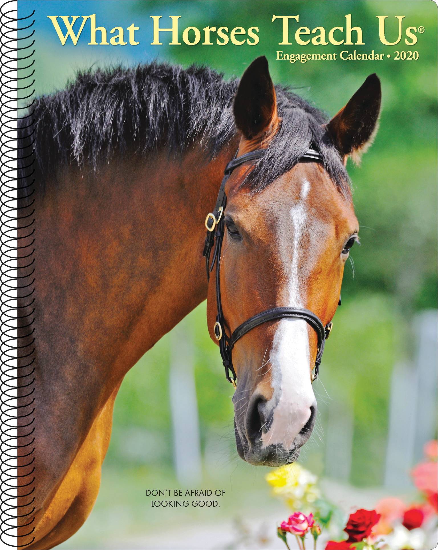 Kelley What Horses Teach Us 2020 Engagement Calendar