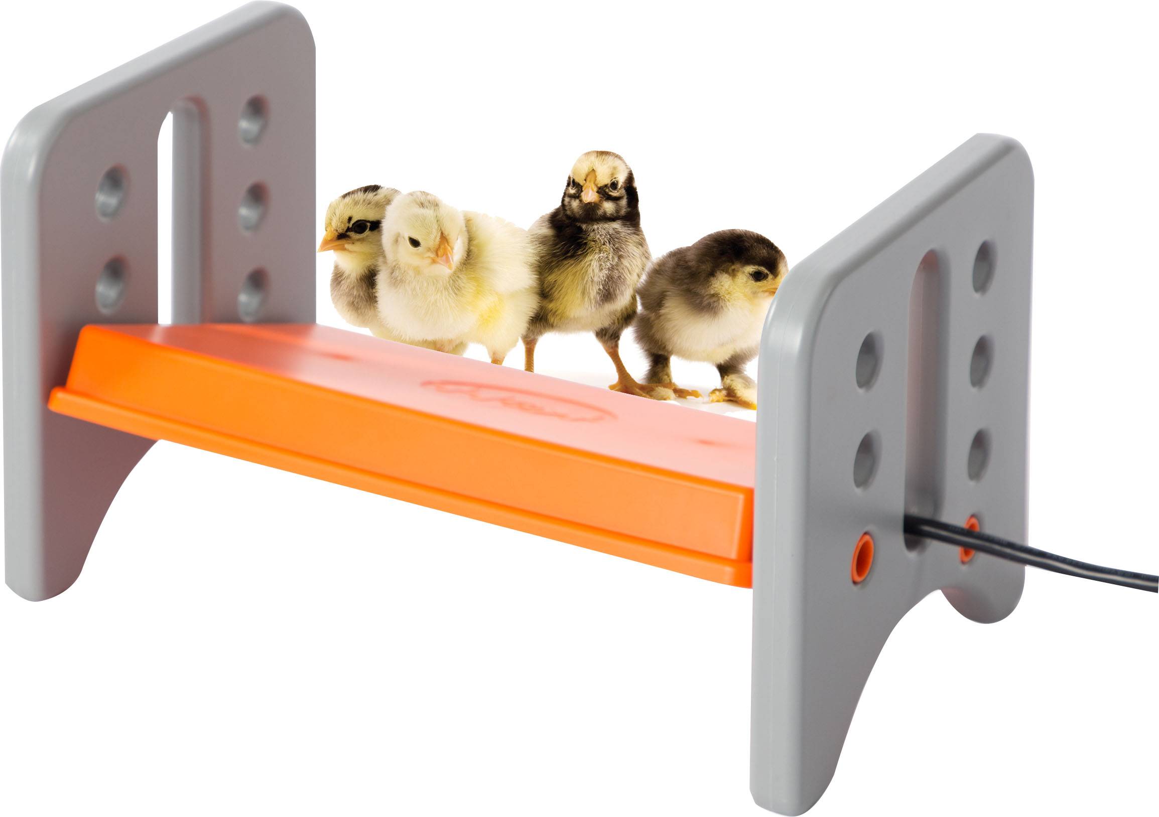 K & H Thermo Poultry Brooder