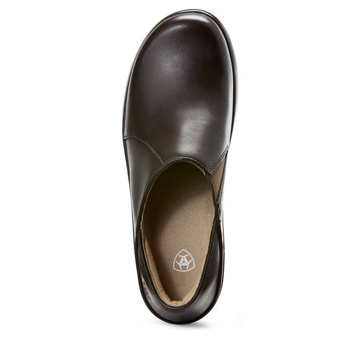 ariat hera expert clog