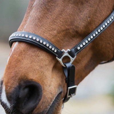 Classic Leather Halter