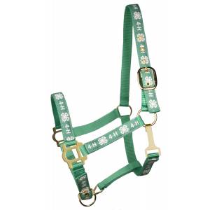 MEMORIAL DAY BOGO: 4H Classic Adjustable Nylon Halter with Snap - YOUR PRICE FOR 2