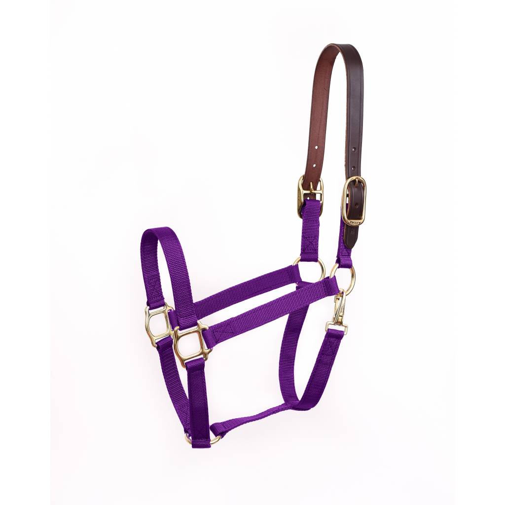 FREE Perri's Classic Break-Away Nylon Safety Halter with Purchase of Padded Leather Halter