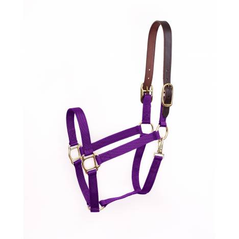 FREE Perri's Classic Break-Away Nylon Safety Halter with any $99 Order