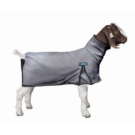 ProCool Mesh Goat Blanket with Reflective Piping
