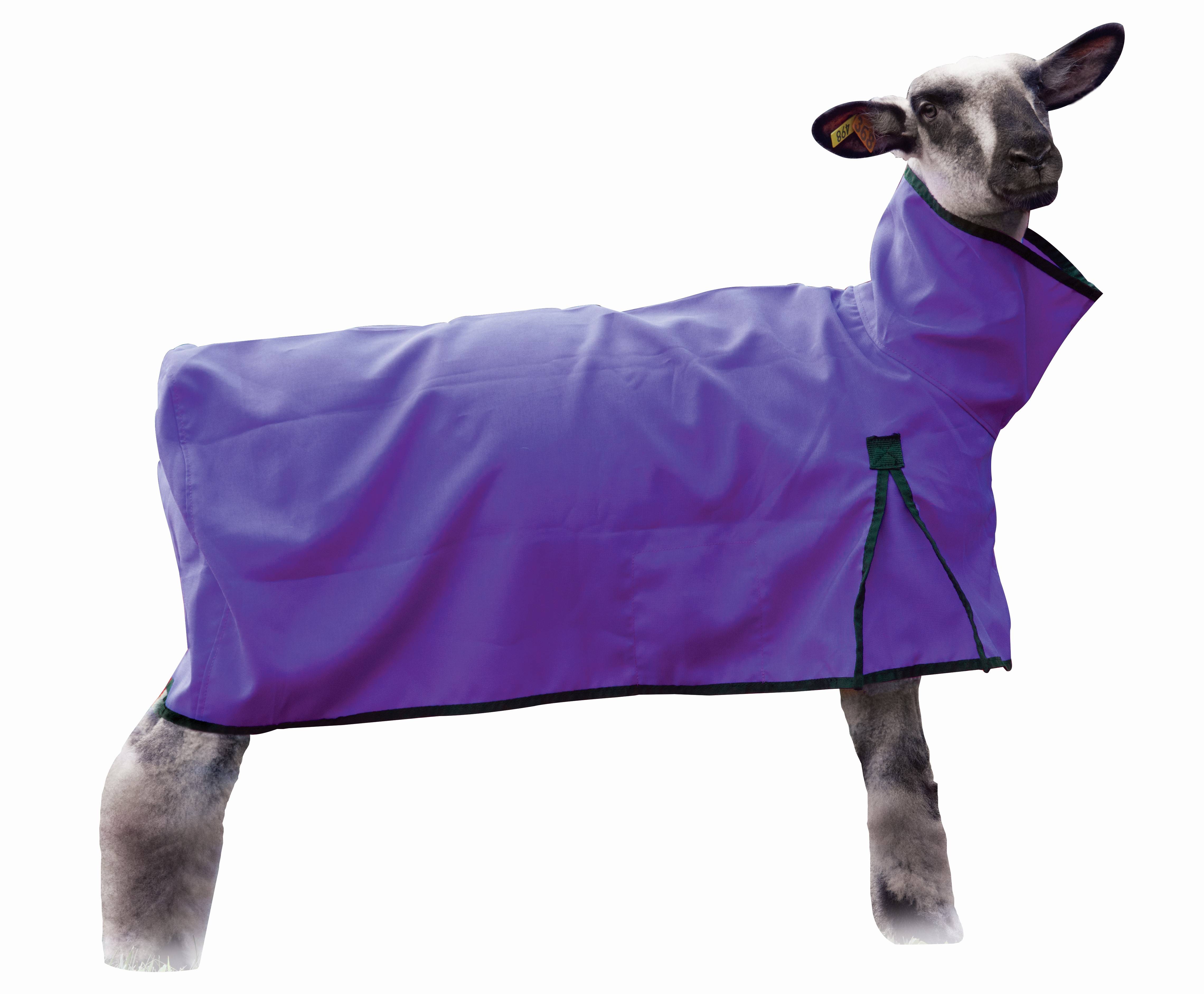 Weaver Sheep Blanket with Mesh Butt