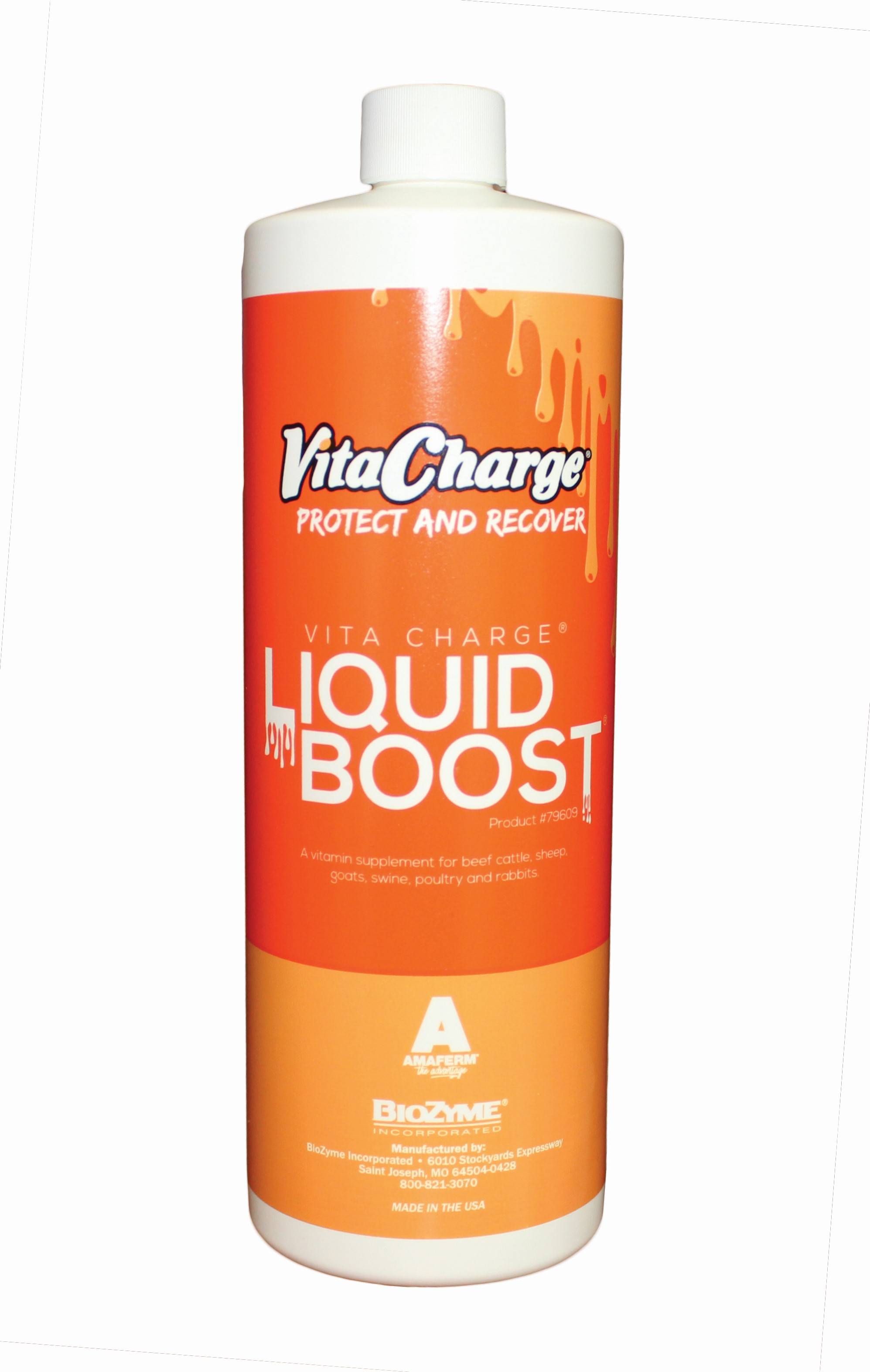 Vita Charge Liquid Boost