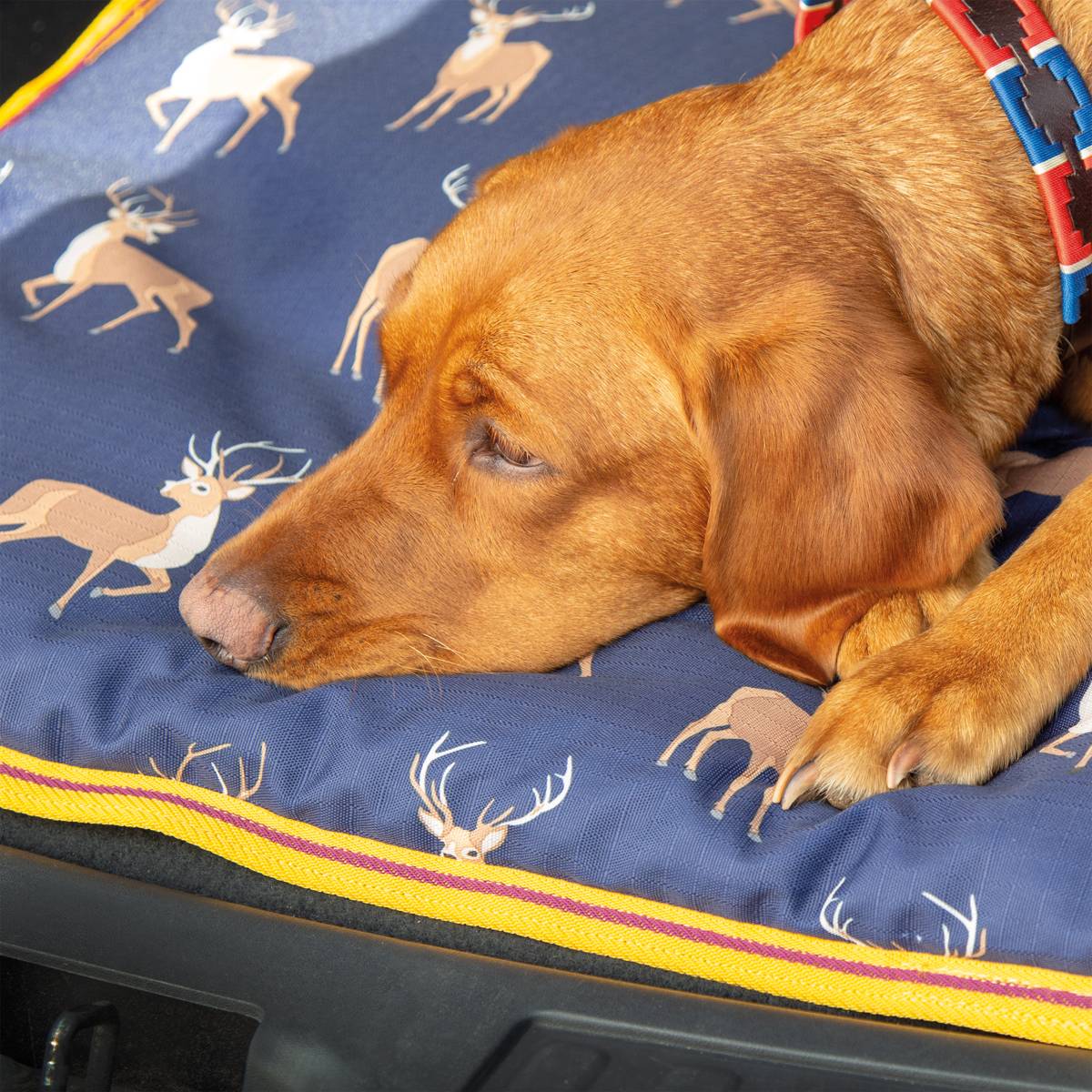 Shires waterproof outlet dog bed