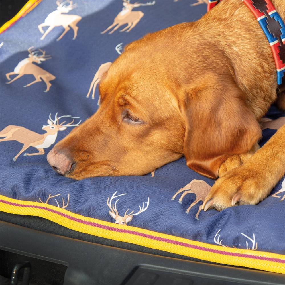 Digby & Fox Waterproof Dog Mat