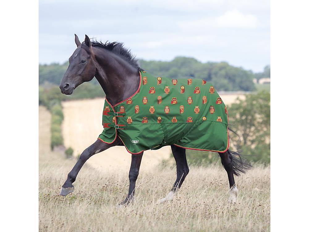 Shires Tempest Original 200 Turnout Blanket HorseLoverZ